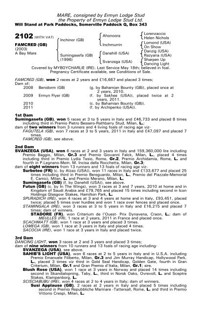 December Mare Sale - Tattersalls