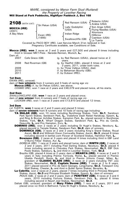 December Mare Sale - Tattersalls