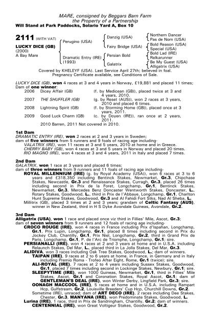 December Mare Sale - Tattersalls