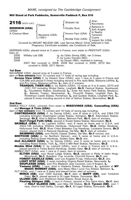 December Mare Sale - Tattersalls