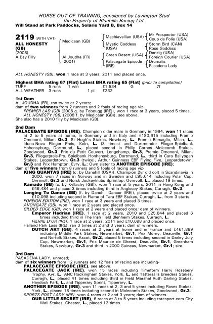 December Mare Sale - Tattersalls