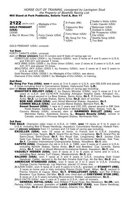 December Mare Sale - Tattersalls