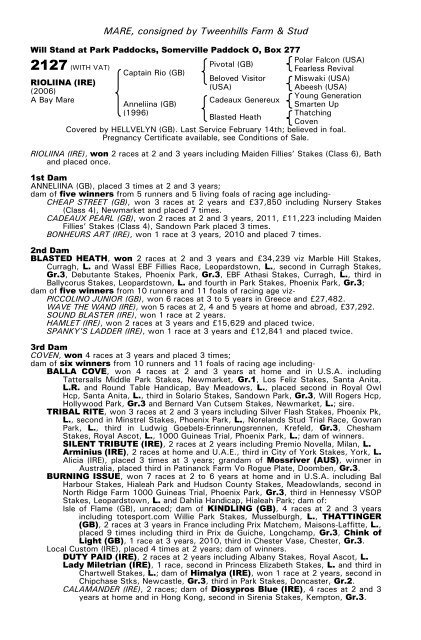 December Mare Sale - Tattersalls