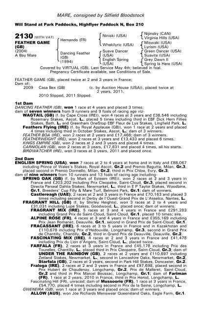 December Mare Sale - Tattersalls