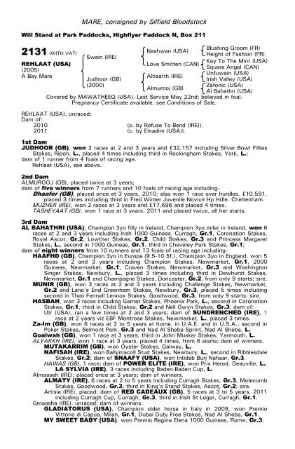 December Mare Sale - Tattersalls