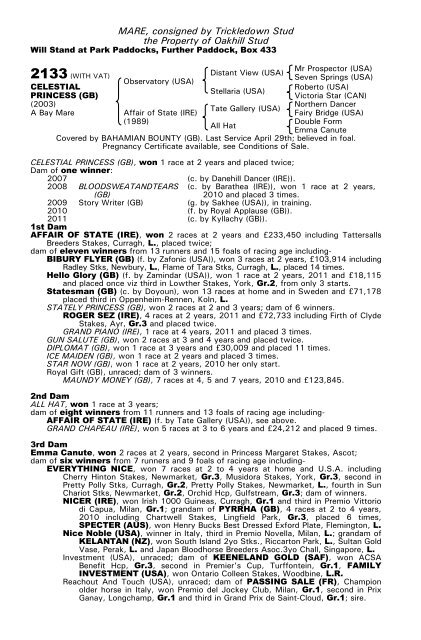 December Mare Sale - Tattersalls