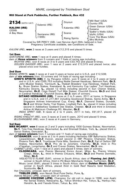 December Mare Sale - Tattersalls