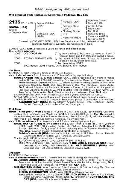 December Mare Sale - Tattersalls