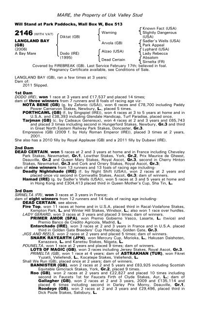 December Mare Sale - Tattersalls