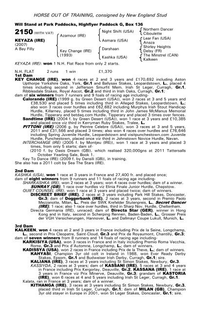 December Mare Sale - Tattersalls