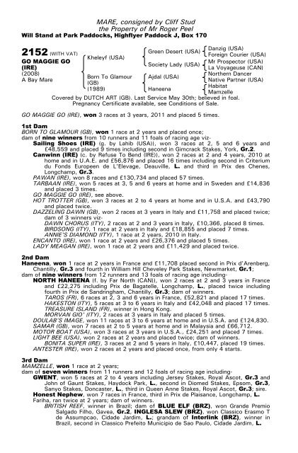 December Mare Sale - Tattersalls