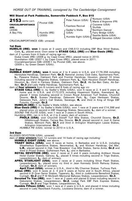 December Mare Sale - Tattersalls