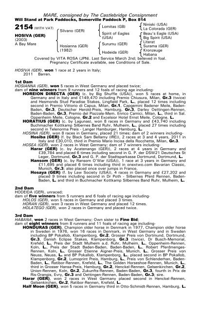 December Mare Sale - Tattersalls