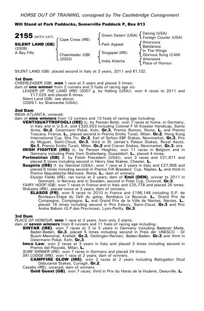 December Mare Sale - Tattersalls