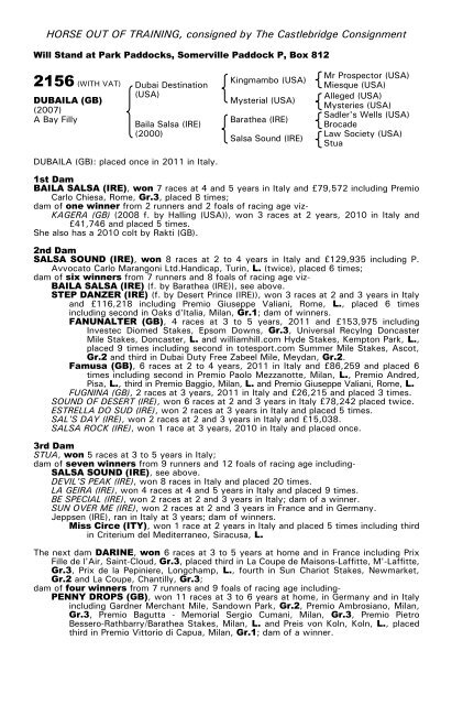 December Mare Sale - Tattersalls