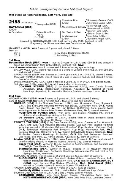 December Mare Sale - Tattersalls