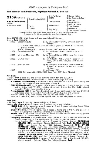 December Mare Sale - Tattersalls