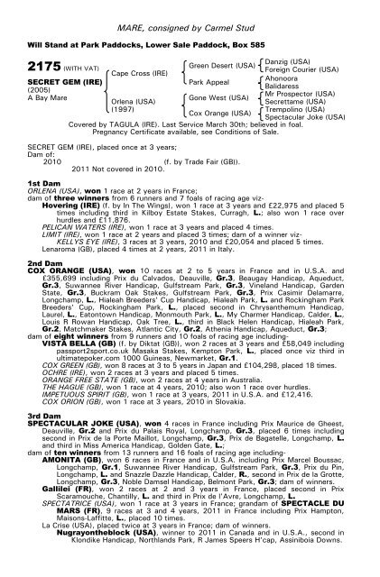 December Mare Sale - Tattersalls