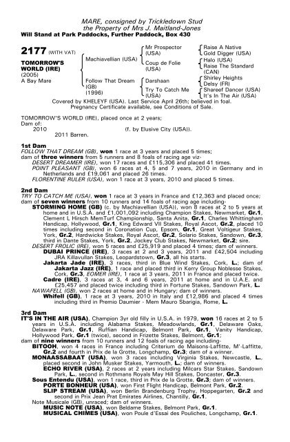 December Mare Sale - Tattersalls