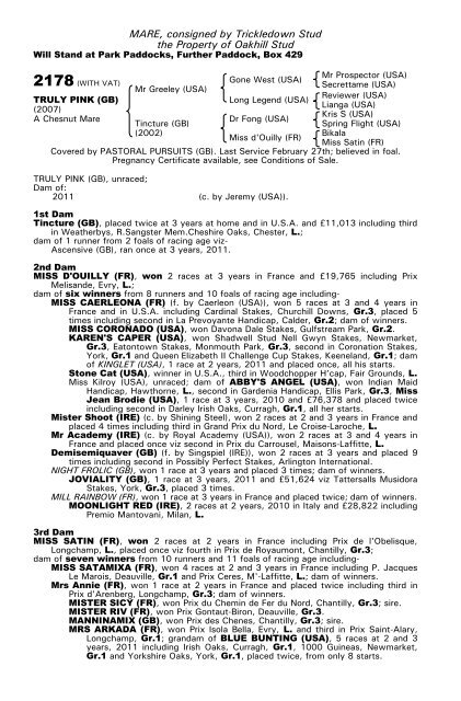 December Mare Sale - Tattersalls