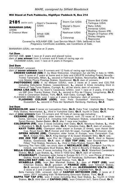 December Mare Sale - Tattersalls