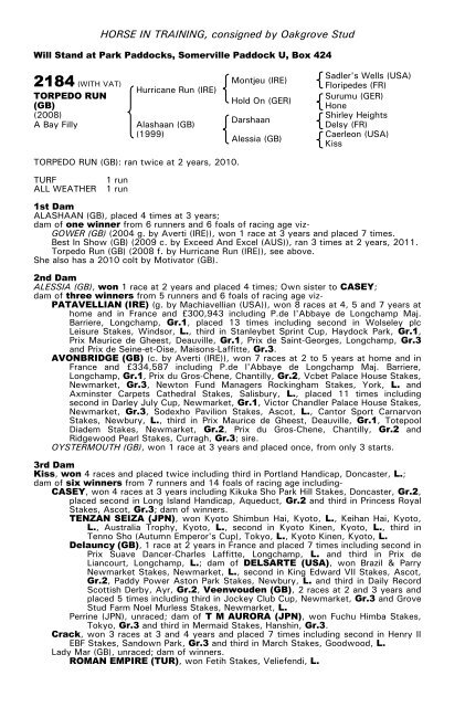 December Mare Sale - Tattersalls