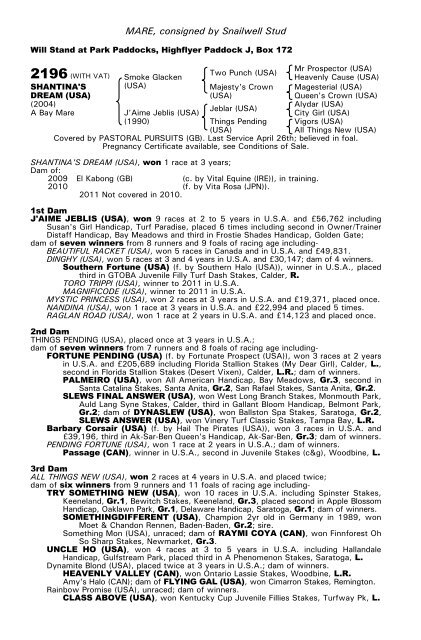 December Mare Sale - Tattersalls