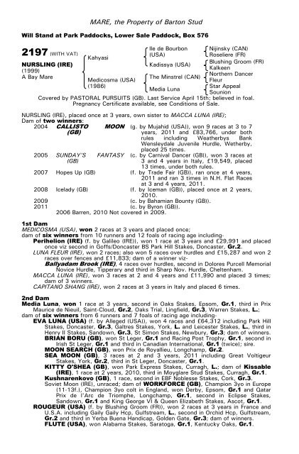 December Mare Sale - Tattersalls