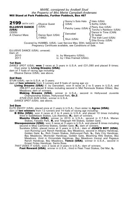 December Mare Sale - Tattersalls