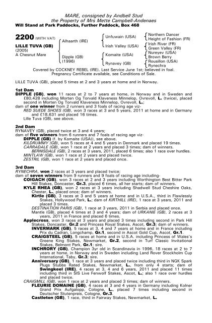 December Mare Sale - Tattersalls