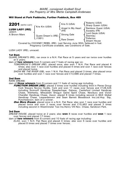 December Mare Sale - Tattersalls