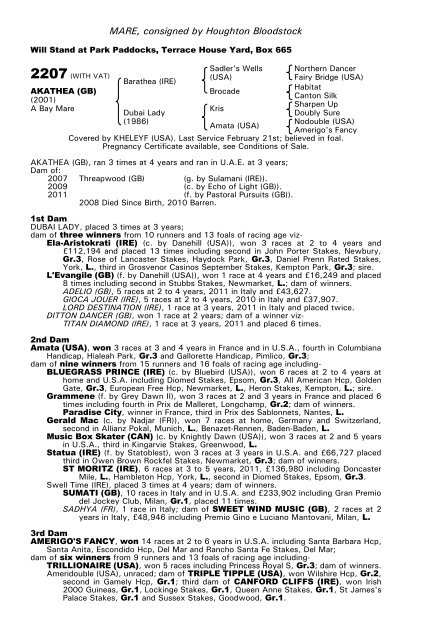 December Mare Sale - Tattersalls