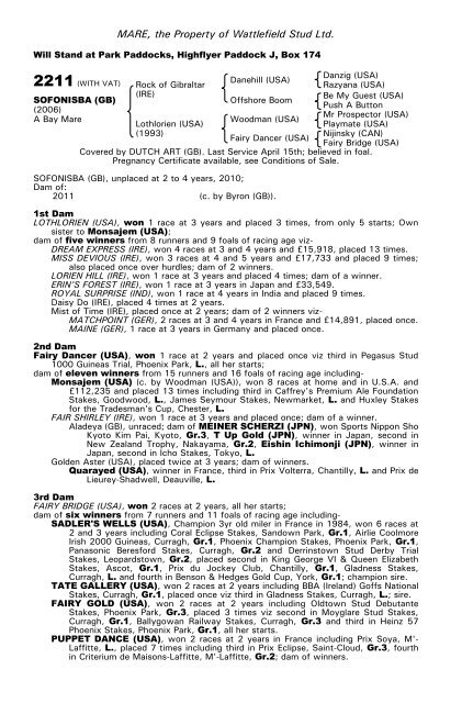 December Mare Sale - Tattersalls