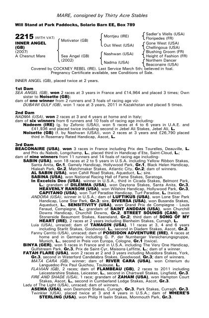 December Mare Sale - Tattersalls