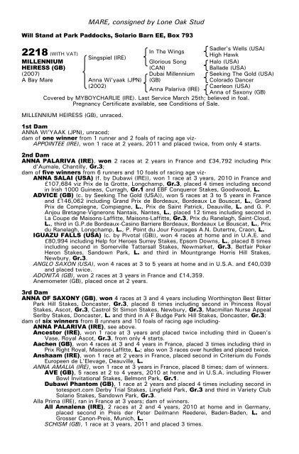 December Mare Sale - Tattersalls