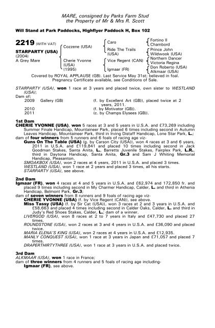 December Mare Sale - Tattersalls