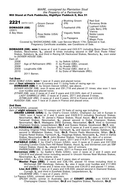 December Mare Sale - Tattersalls