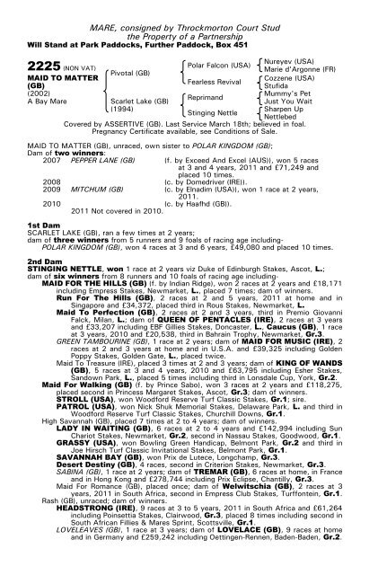 December Mare Sale - Tattersalls