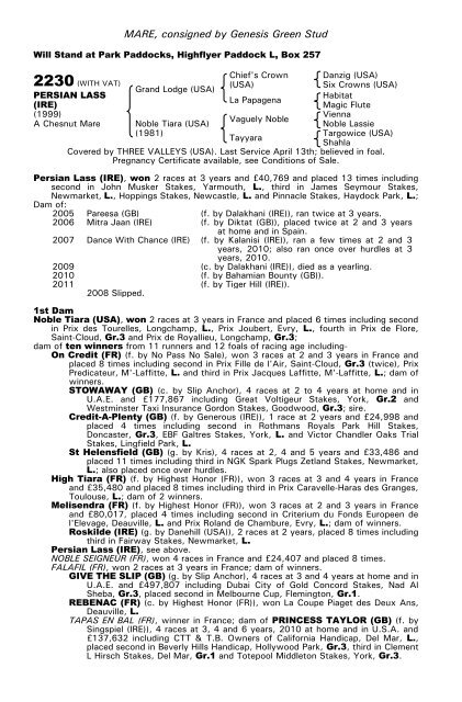 December Mare Sale - Tattersalls