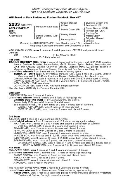 December Mare Sale - Tattersalls