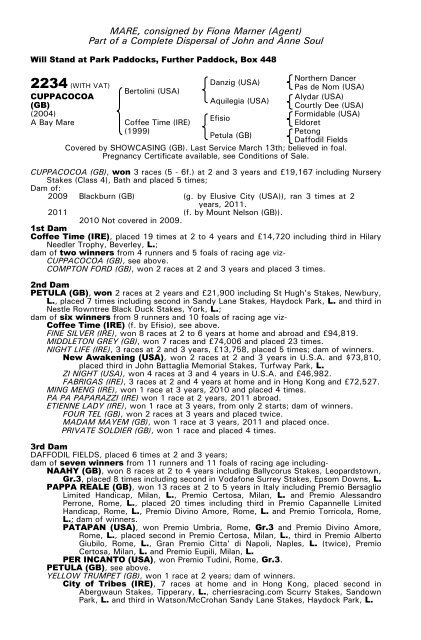 December Mare Sale - Tattersalls