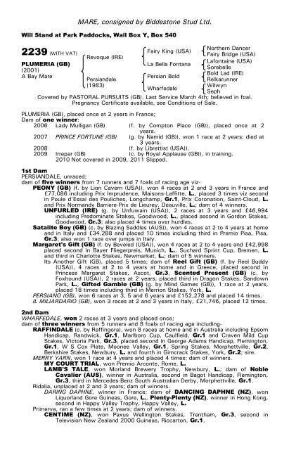 December Mare Sale - Tattersalls