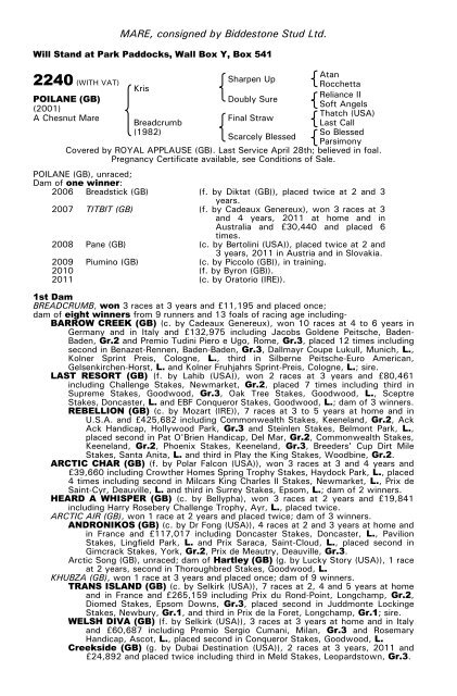 December Mare Sale - Tattersalls