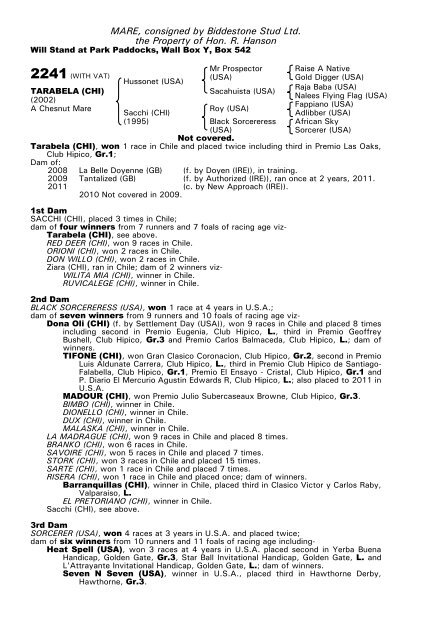 December Mare Sale - Tattersalls