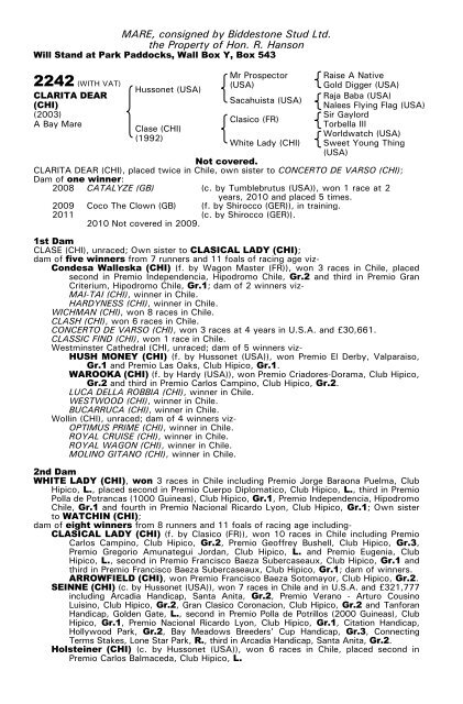 December Mare Sale - Tattersalls