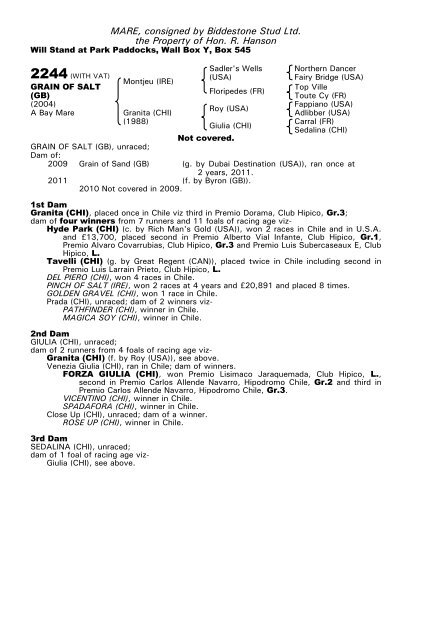 December Mare Sale - Tattersalls