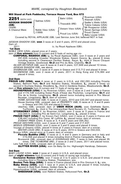 December Mare Sale - Tattersalls