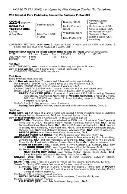 December Mare Sale - Tattersalls