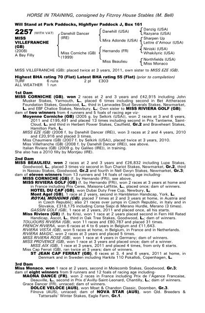 December Mare Sale - Tattersalls