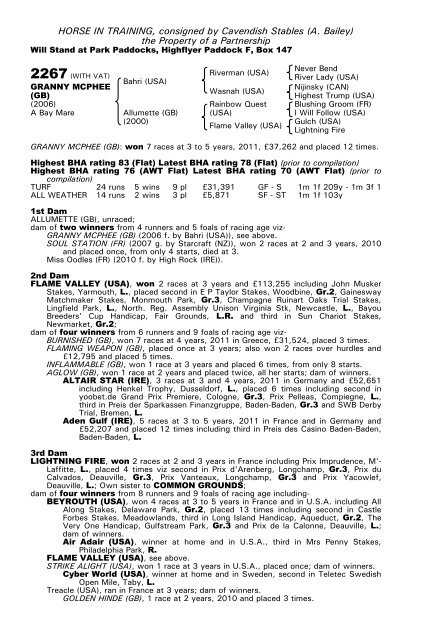 December Mare Sale - Tattersalls